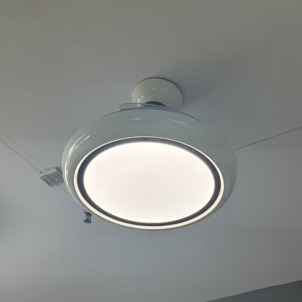 384c023c66f34aa9faa59663f7da2349 拷贝.jpg